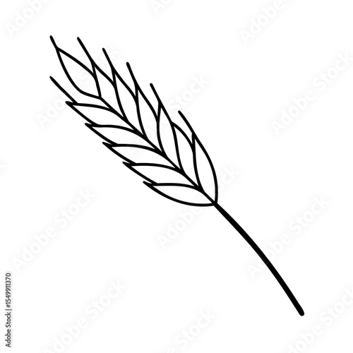 Single Black Line Drawing Wheat Ear Illustration ear of wheat