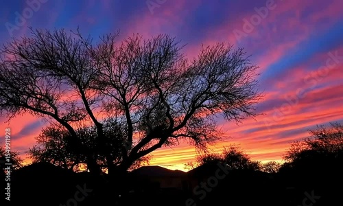Vibrant Sunset Silhouettes