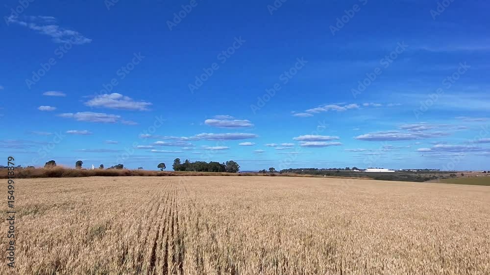 Agronegócio Brasil