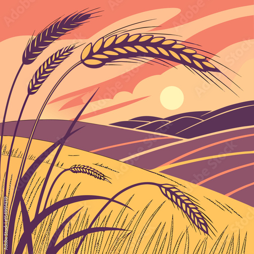 Wheat Field Vector Illustration at Sunset with Rolling Hills
