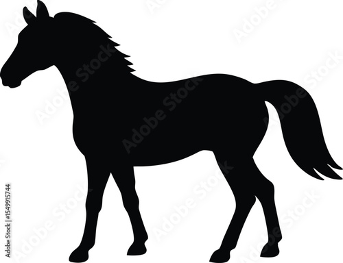 Morgen horse silhouette,  horse vector illustration