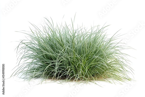Green grass patch isolated on a white background, front view,