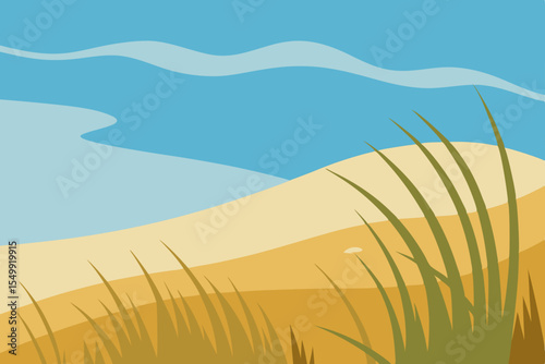 sand dunes on the beach