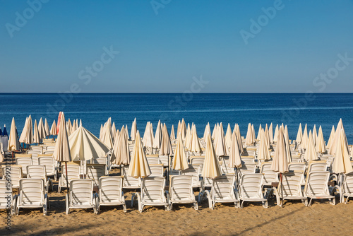 Fototapeta Naklejka Na Ścianę i Meble -  Empty beach with rows of closed sun umbrellas and white loungers facing calm blue sea under clear sky