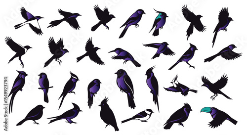 Collection of Silhouettes Diverse Bird Species in Flight and Resting Poses