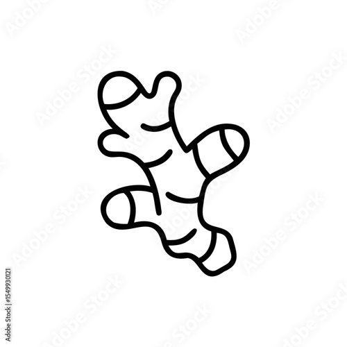 Handdrawn Line Art Ginger Root Isolated Background vector