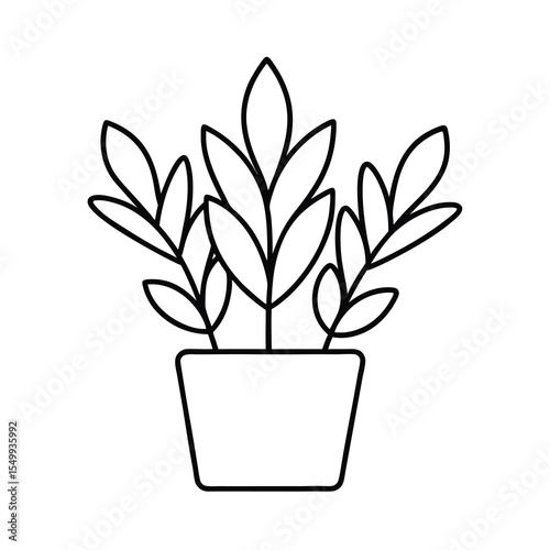 flower in pot