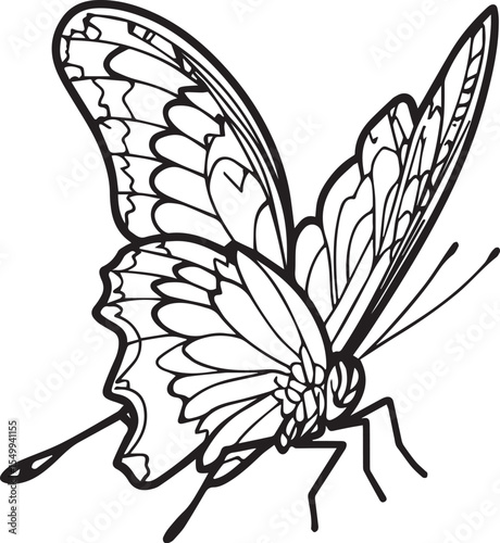 Cute Butterfly Sideways Vector