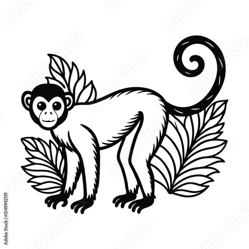 Photography vintage jungle monkey line drawing