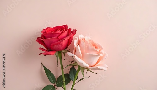 bouquet of pink roses in vase