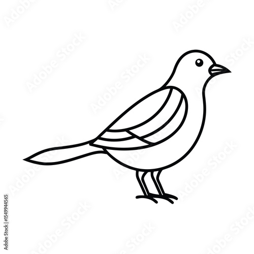 bird line art design
