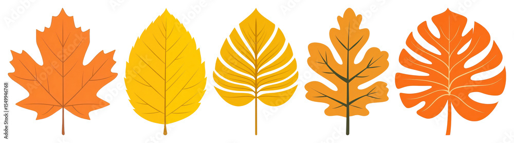 Fototapeta premium PNG Colorful autumn leaves illustration, element set on transparent background