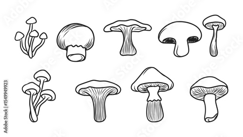 Collection of Various Hand-Drawn Mushroom Illustrations in Outline Style for Nature Designs