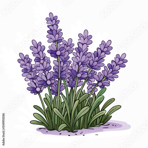 bouquet of lilac flowers vector