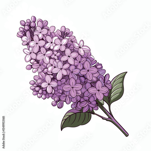 bunch of lilac flowers vector