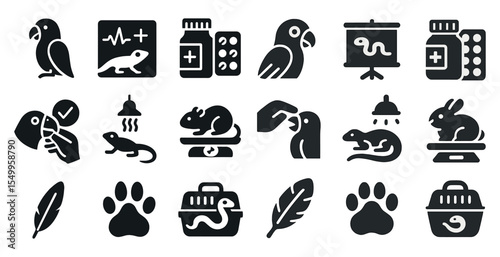 Veterinary solid icons set – pet, silhouette, animal care and health graphics