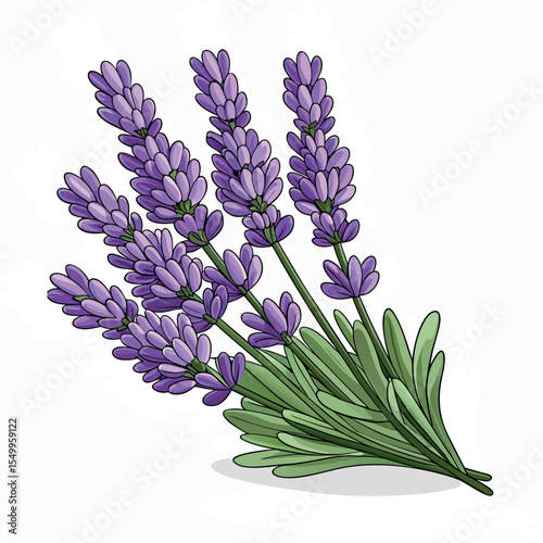 lilac flat vector illustration lilac cartoon