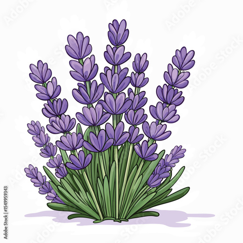 lilac flat vector illustration lilac  