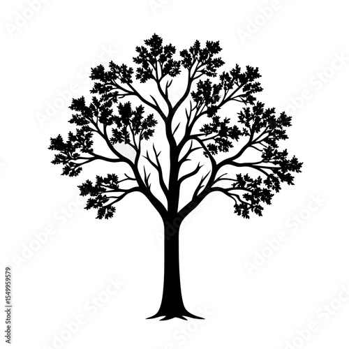 silhouette vector illustration elm silhouette