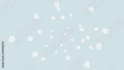 Hydrangea white color explosion vector banner background