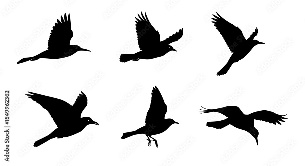 Obraz premium Flying bird silhouettes collection vector illustration