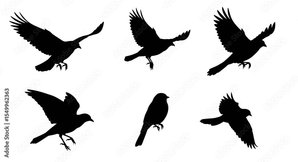 Obraz premium A collection of flying bird silhouettes featuring eagles, hawks, and doves in flight, perfect for vector illustration of wildlife in nature
