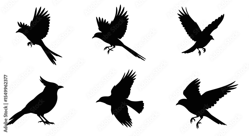 Obraz premium A vector set of cute flying bird silhouettes, perfect for nature-inspired designs