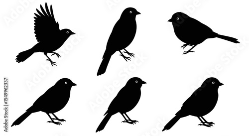 A vector set of cute flying bird silhouettes, perfect for nature-inspired designs
