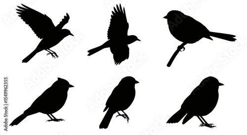 A vector set of cute flying bird silhouettes, perfect for nature-inspired designs