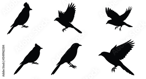 A vector set of cute flying bird silhouettes, perfect for nature-inspired designs