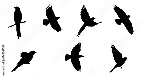 Flying bird silhouettes collection vector illustration