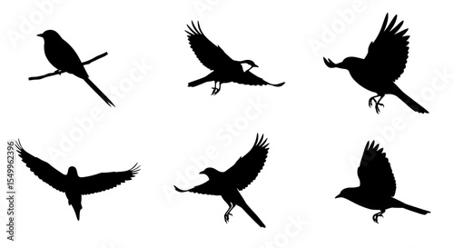 Flying bird silhouettes collection vector illustration