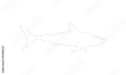 Vector Cartoon Fish Design Fully Editable High Quality