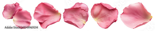 Wallpaper Mural PNG Delicate pink rose petals scattered, element set on transparent background Torontodigital.ca