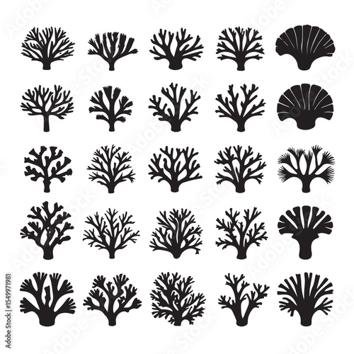 Collection of black silhouettes of various coral types and a seashell