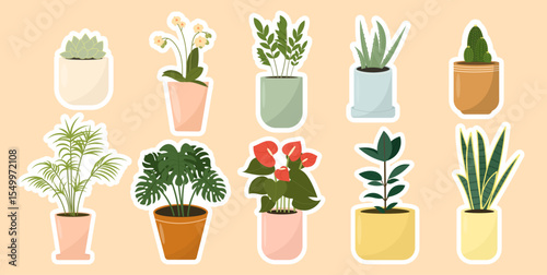 Сollection of indoor potted plants, stickers set. Popular houseplants such as succulents, cacti, monstera, palm, anthurium, sansevieria, orchid, aloe vera and ficus. Vector illustration, flat style.