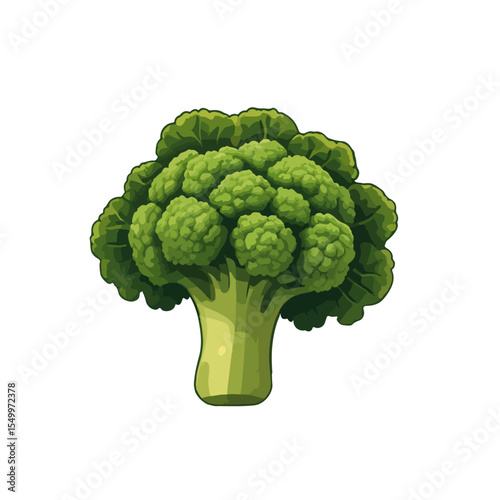 broccoli isolated on white background