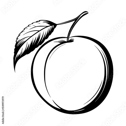 a black and white drawing of a peach with a leaf black, branch, drawing, illustration, leaf, peach , Generative art.