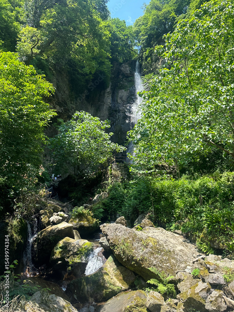 Fototapeta premium waterfall in the forest