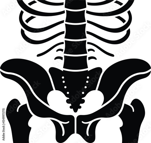 A detailed black and white illustration of a human torso skeleton featuring ribs and pelvic bone area silhouette