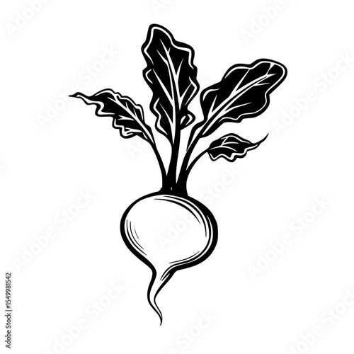 a picture of a radish in a black and white style black, drawing, icon, illustration, picture, radish, style, top , Generative art.
