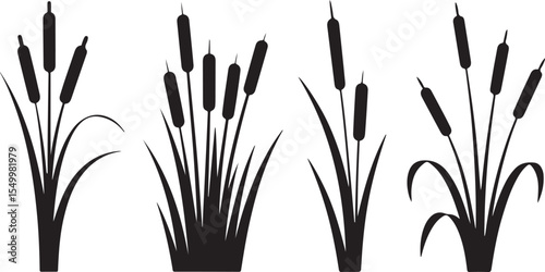 Cattails Vector Silhouette Set Bulrush Reedmace Plants Marsh Wetland Flora