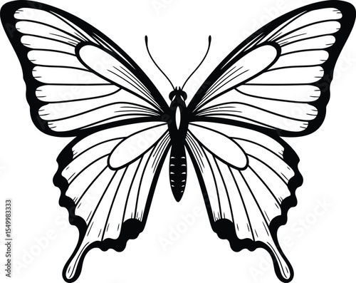 Black butterfly vector illustration with wings and antenna flying over flower in nature