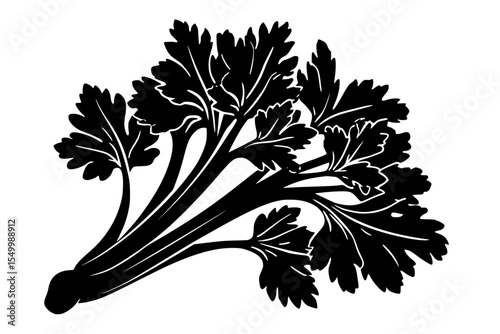 a black and white picture of a leaf of parsley black, icon, illustration, leaf, parsley, picture, silhouette, style , Generative art.