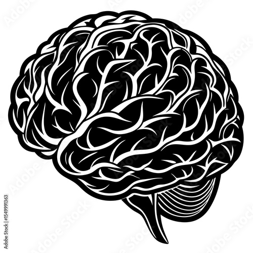 Human brain illustration isolated on white background in black and white