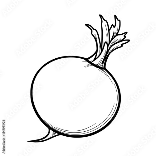 a sketch of a radish drawn in a black outline on a white background black, draw, drawing, icon, illustration, outline, radish, sketch , Generative art.