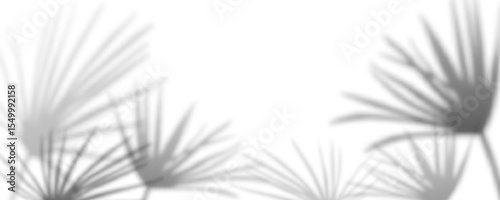 Realistic palm leaf shadow overlay effect on white bg. Tropical plant shade silhouettes creating natural light patterns for summer design mockup or minimalist organic botanical texture elements.