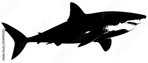 a black and white silhouette of a shark with a large mouth black, fish, large, mouth, shark, silhouette, tooth, white , Generative art.