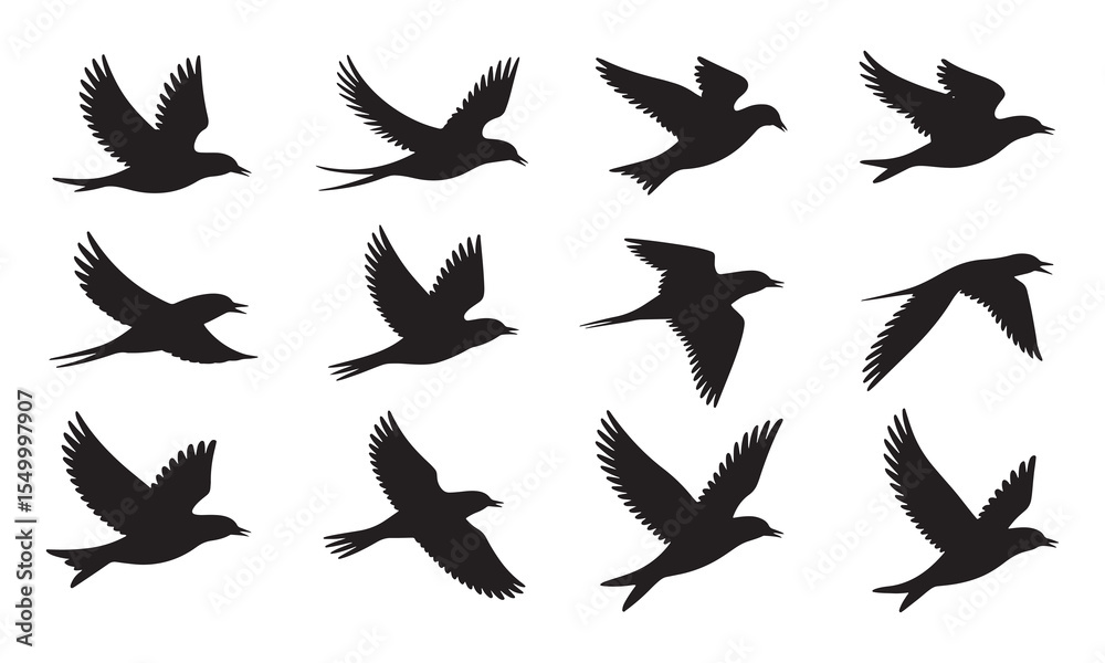 Obraz premium Twelve Black Bird Silhouettes Flying Vector Illustration