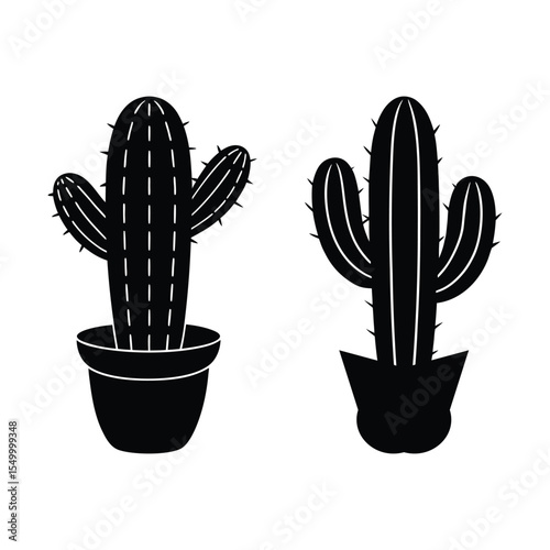 Cactus Desert Plant Icon  